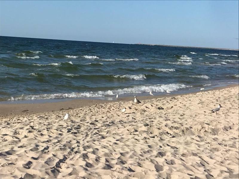 Idylla Apartamenty Polanki Kołobrzeg Exteriör bild